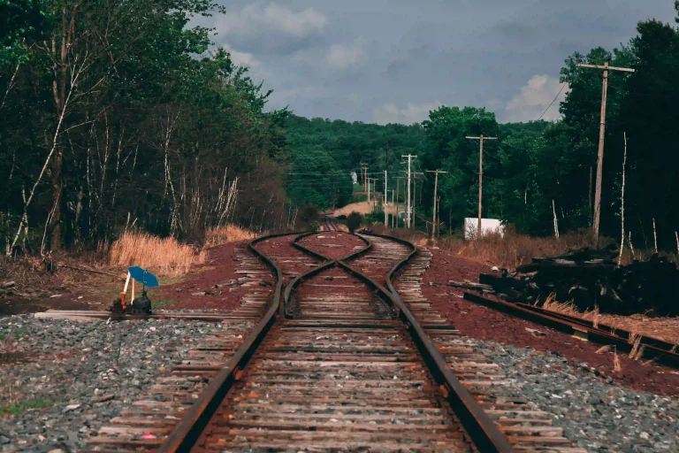 1 train-track-surrounded-by-trees